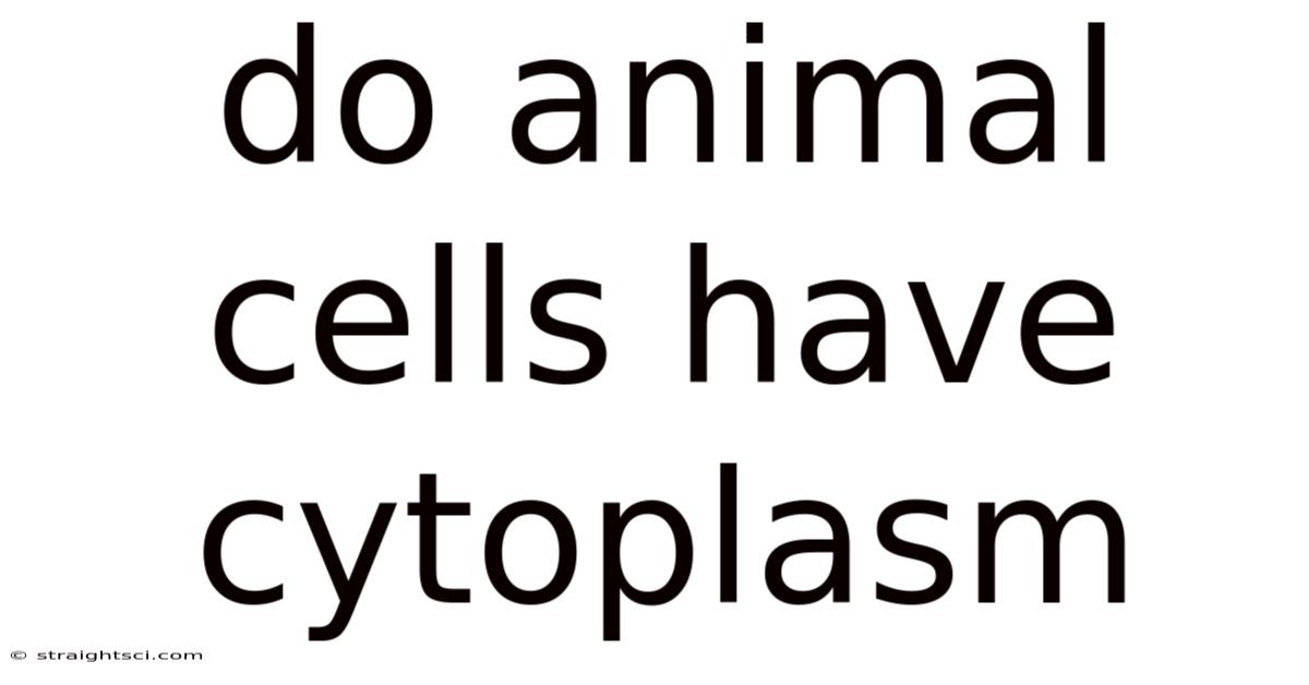Do Animal Cells Have Cytoplasm