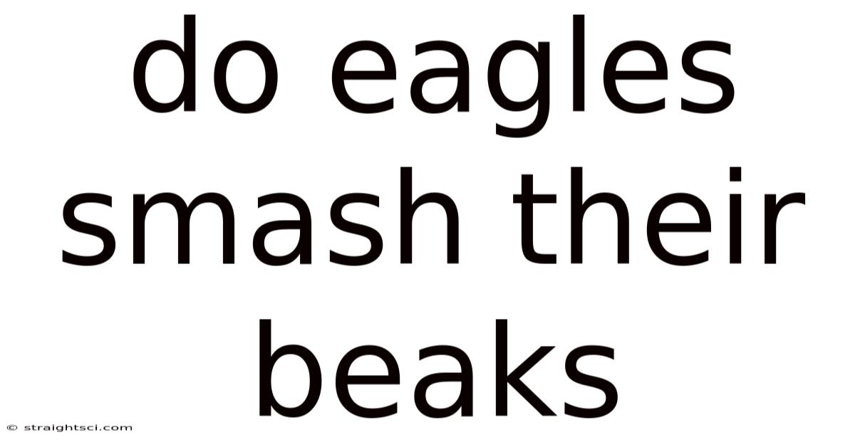 Do Eagles Smash Their Beaks