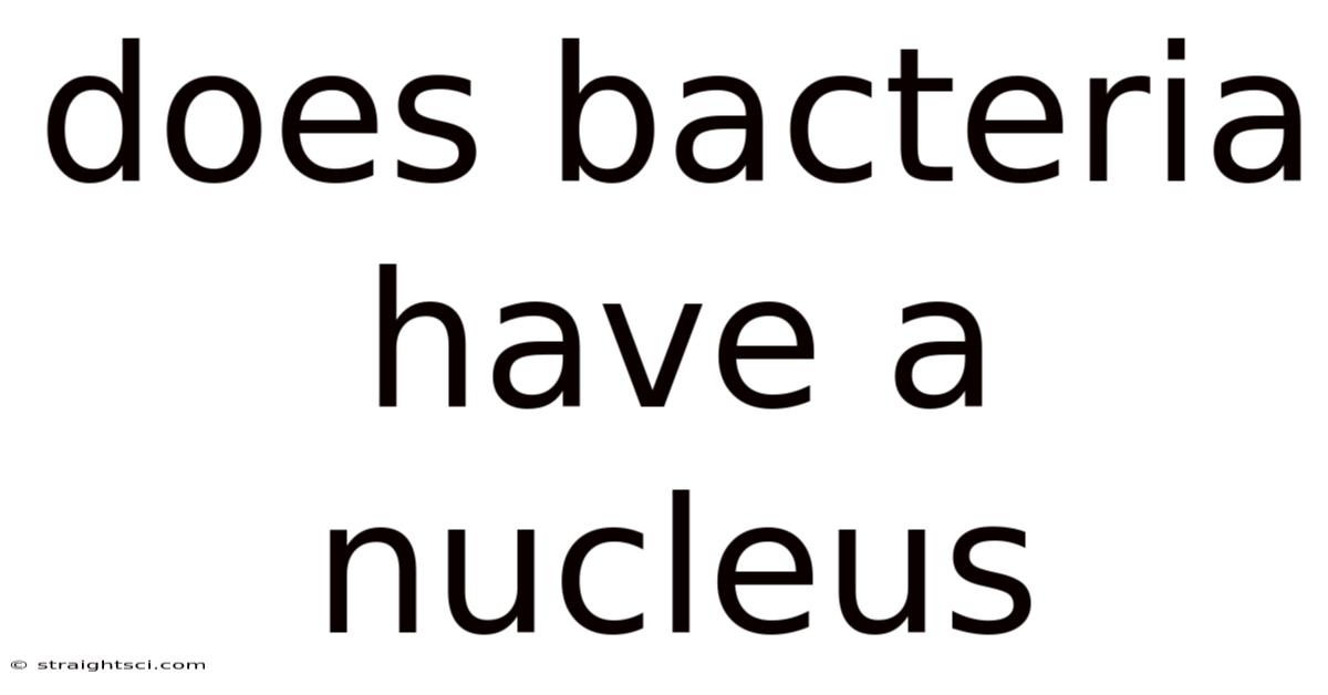 Does Bacteria Have A Nucleus