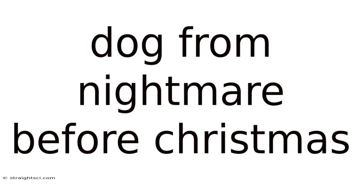 Dog From Nightmare Before Christmas
