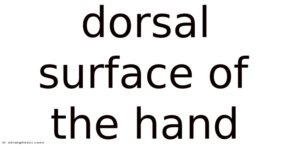 Dorsal Surface Of The Hand