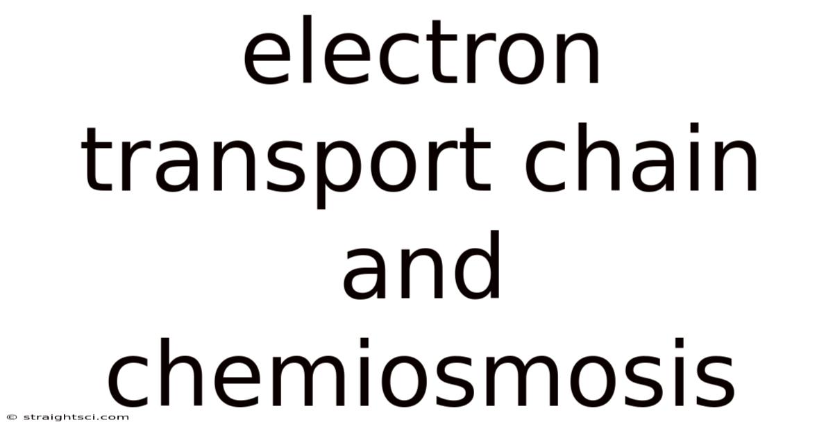 Electron Transport Chain And Chemiosmosis