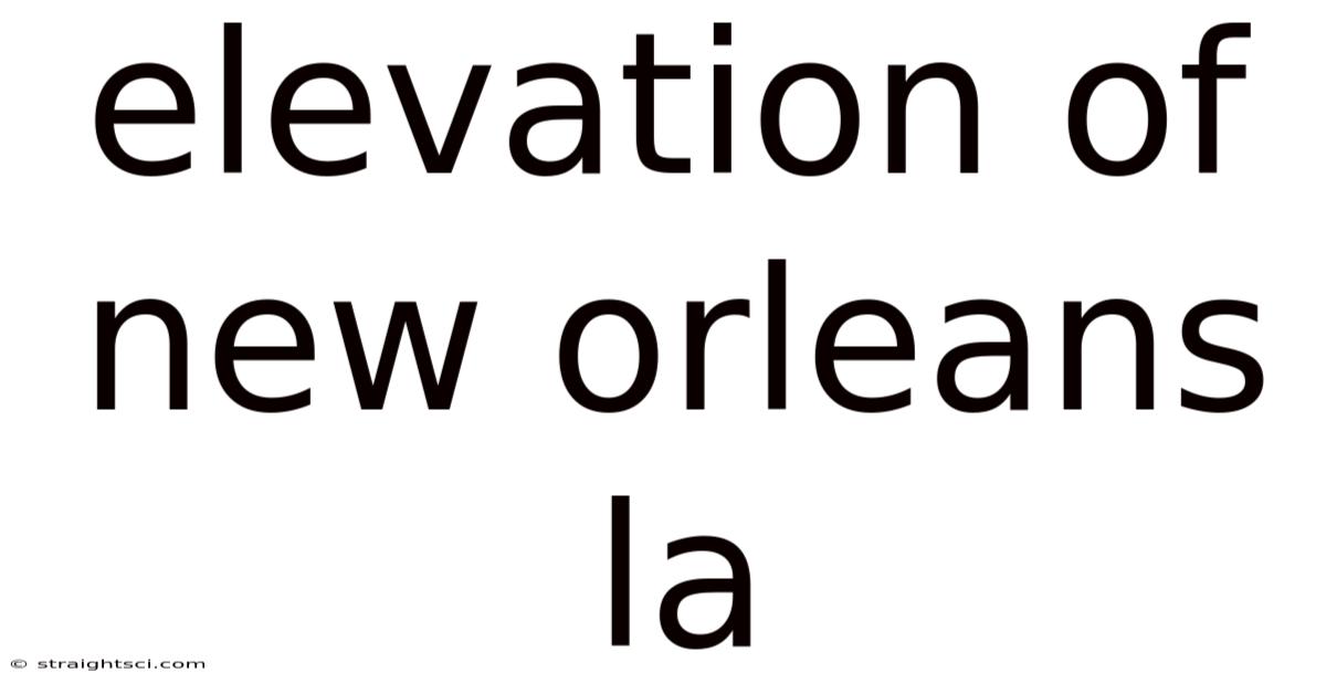 Elevation Of New Orleans La