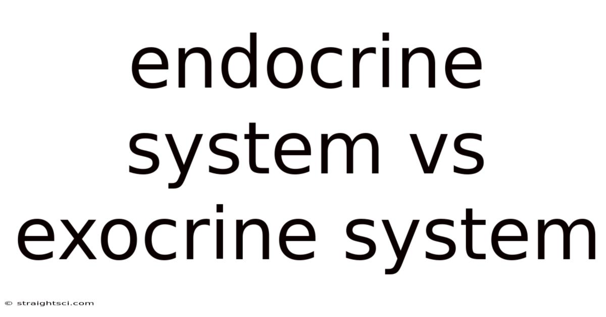 Endocrine System Vs Exocrine System