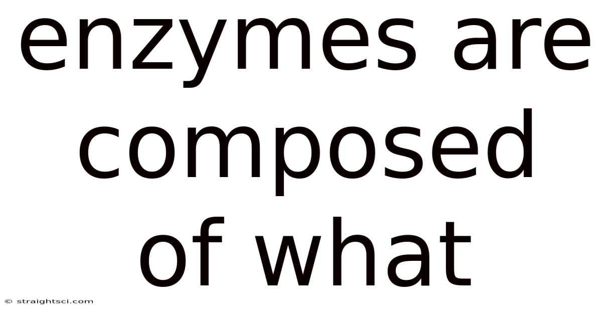 Enzymes Are Composed Of What