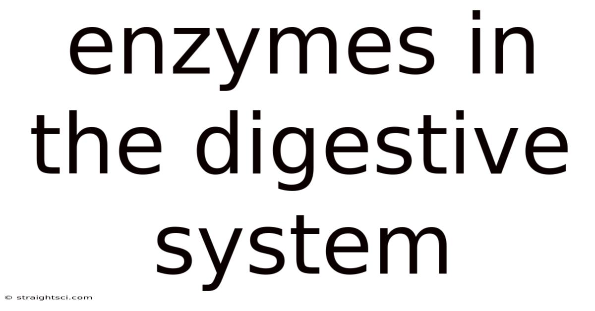 Enzymes In The Digestive System