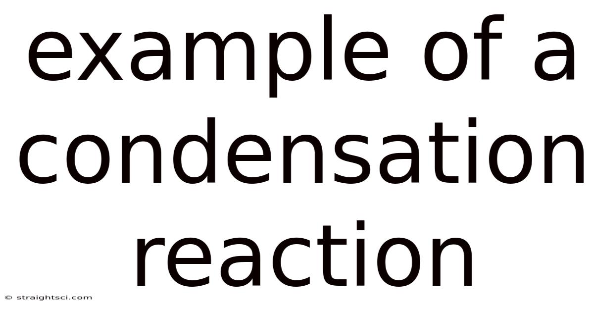 Example Of A Condensation Reaction