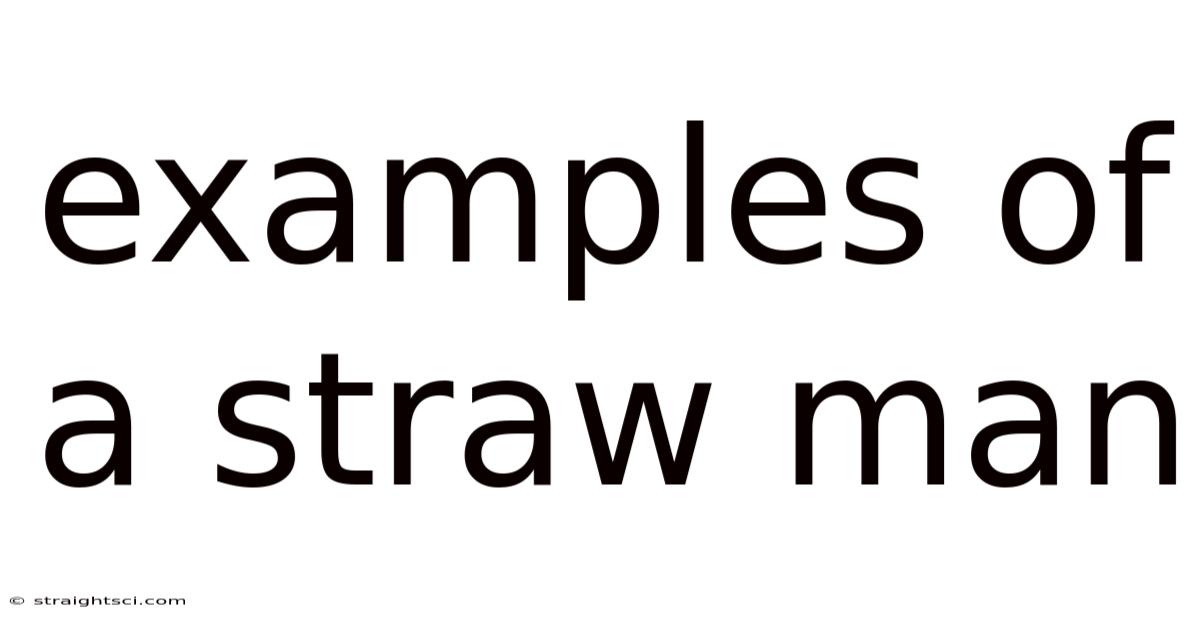 Examples Of A Straw Man