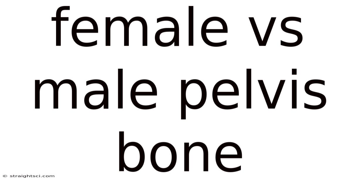 Female Vs Male Pelvis Bone
