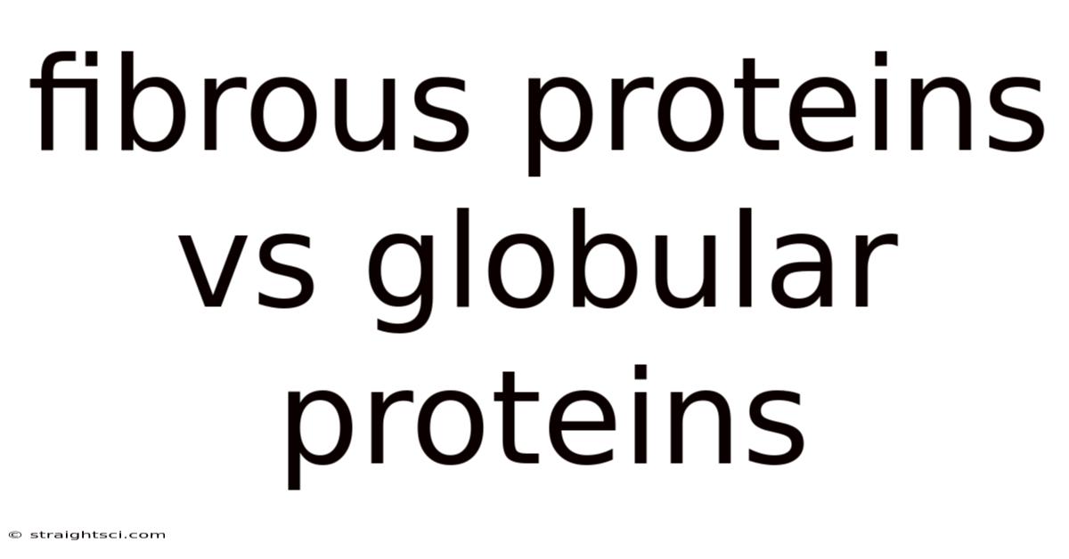 Fibrous Proteins Vs Globular Proteins
