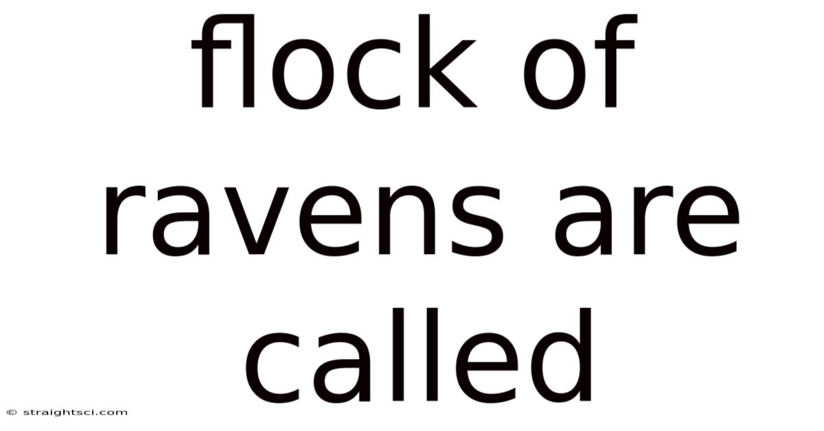 Flock Of Ravens Are Called