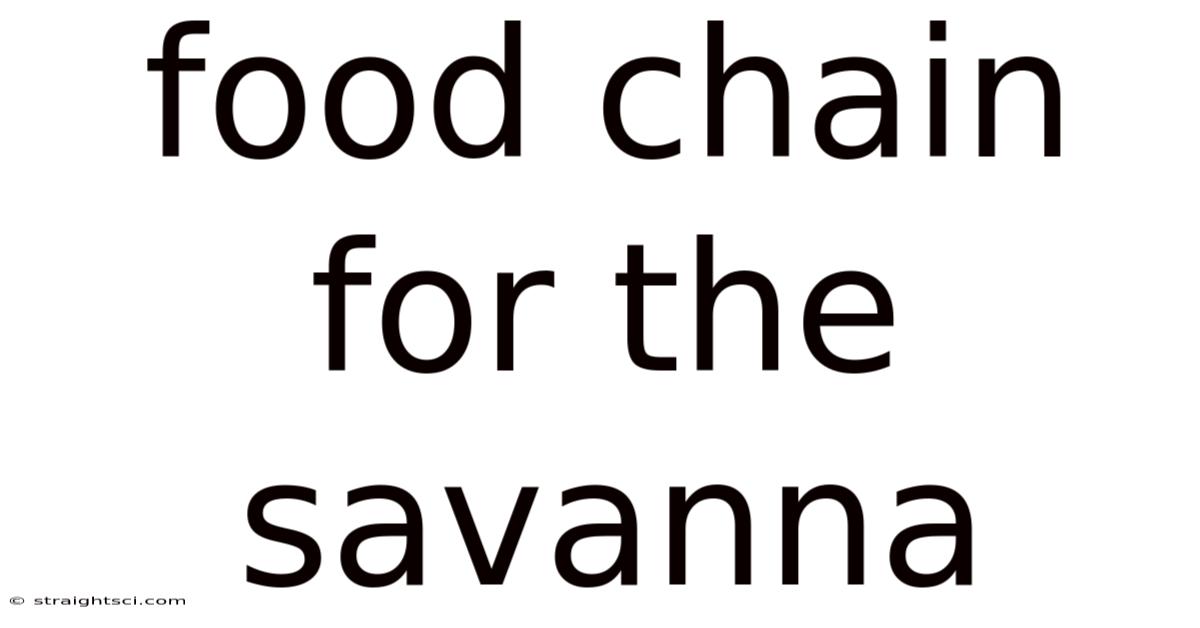 Food Chain For The Savanna