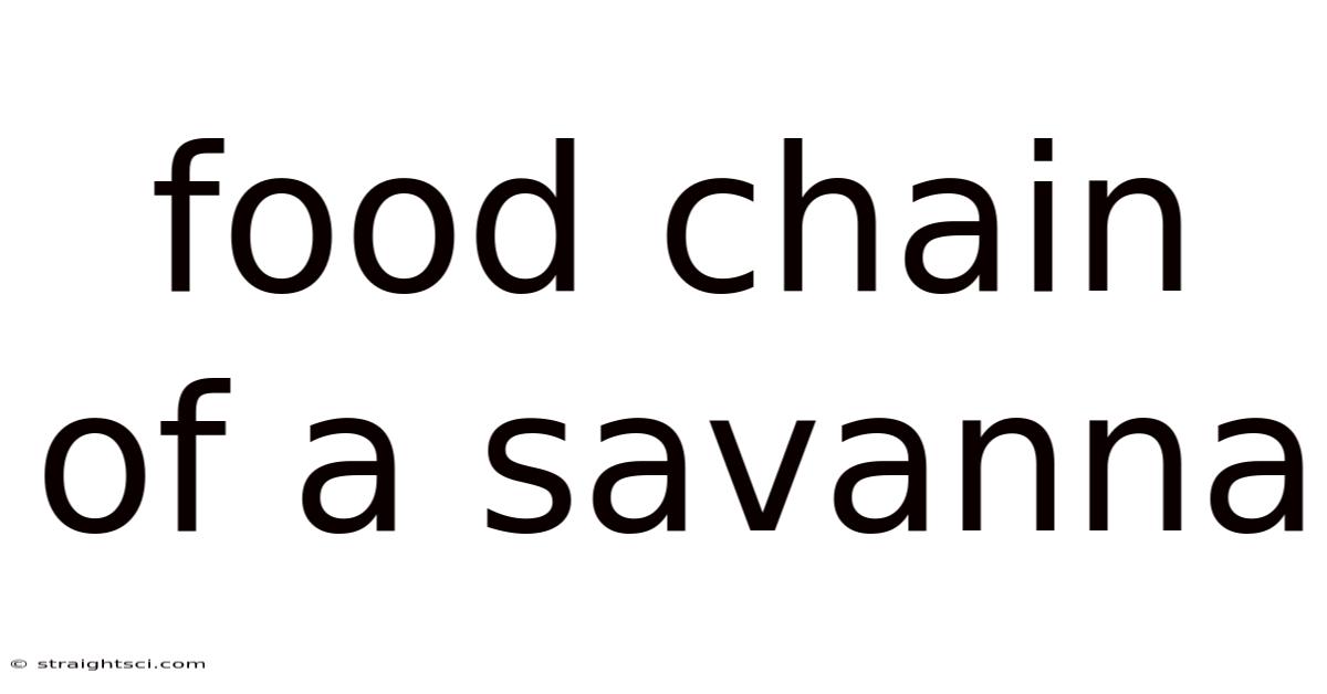 Food Chain Of A Savanna