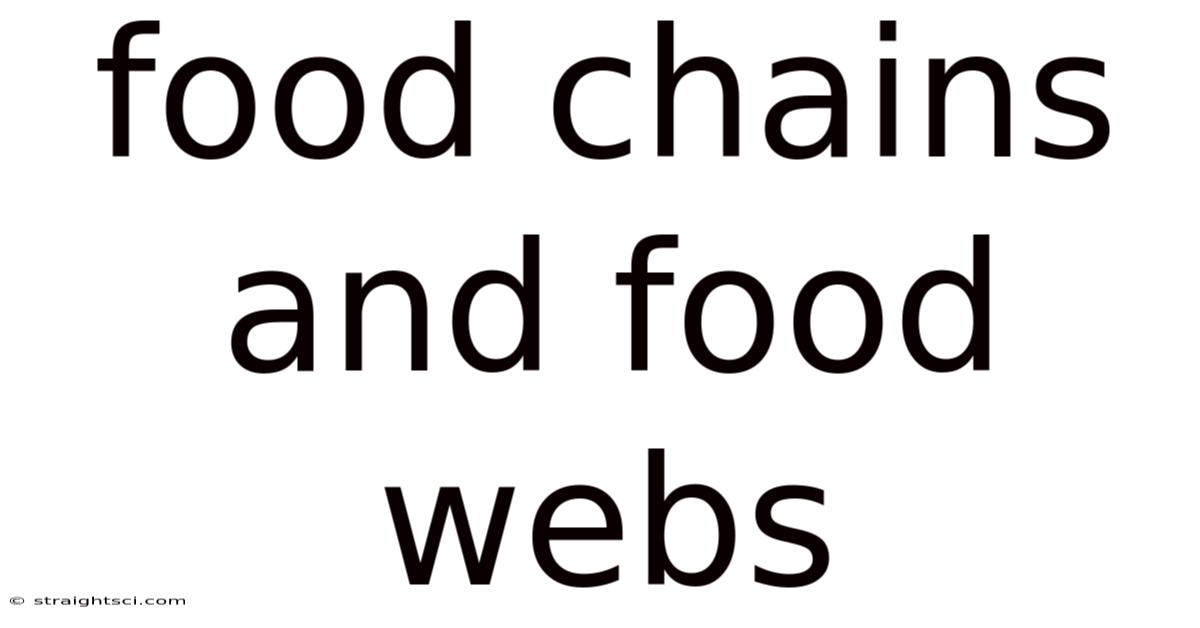 Food Chains And Food Webs
