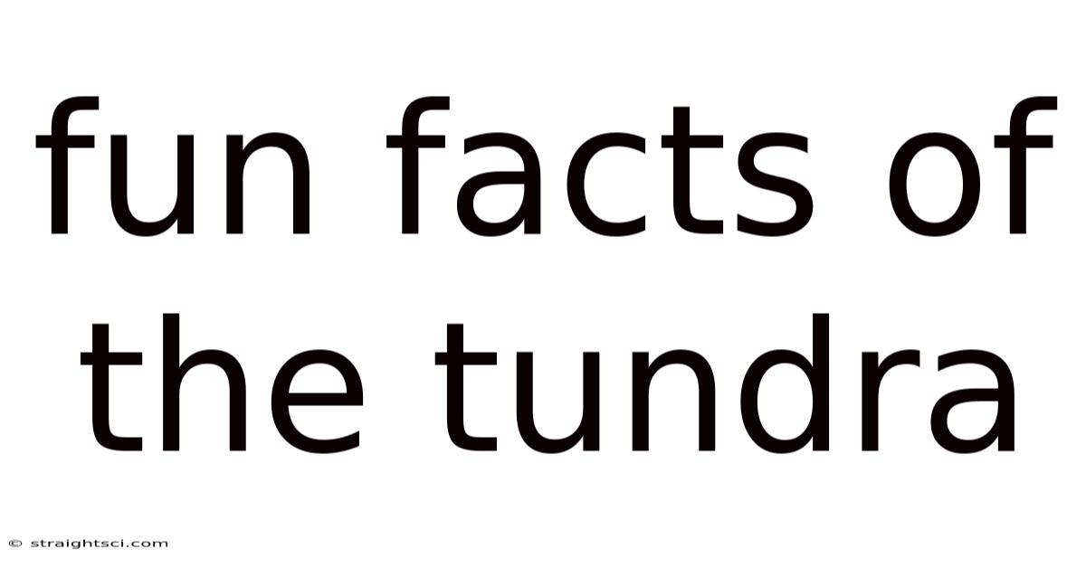 Fun Facts Of The Tundra