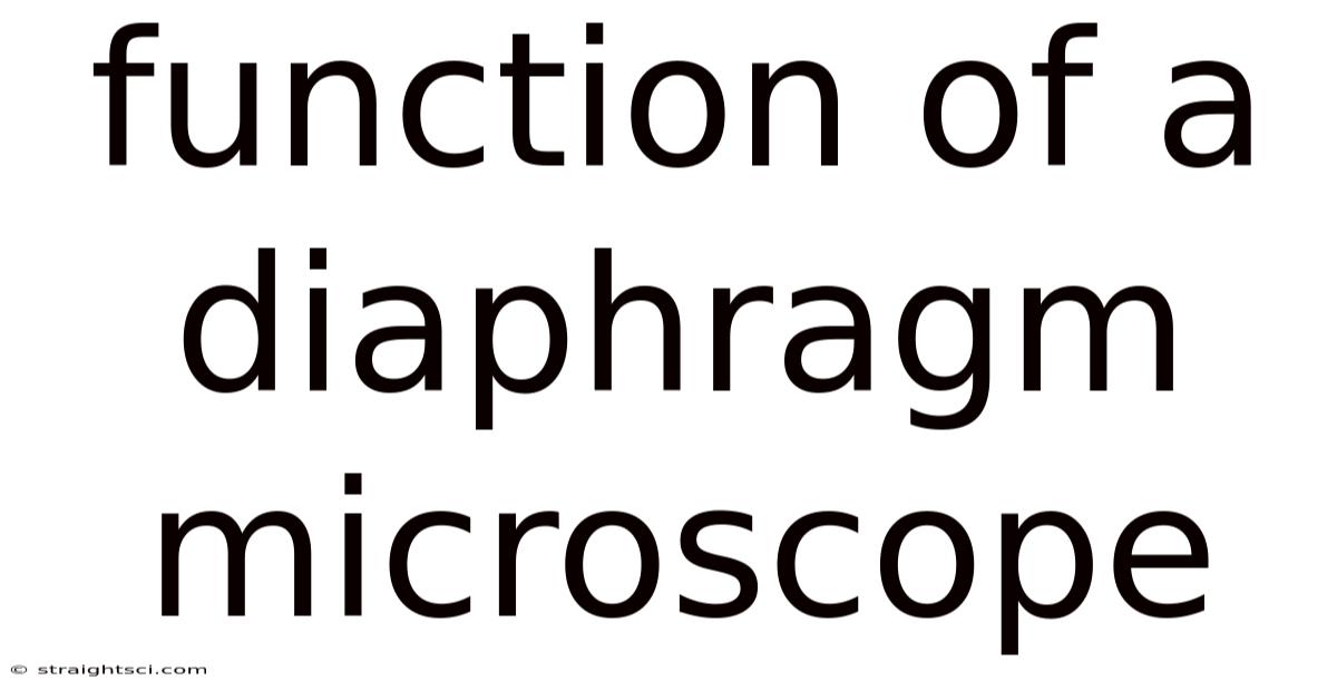 Function Of A Diaphragm Microscope