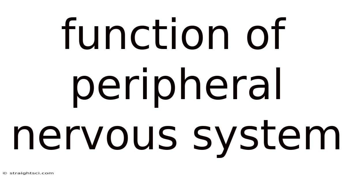 Function Of Peripheral Nervous System