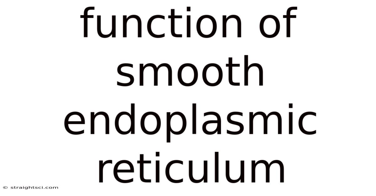 Function Of Smooth Endoplasmic Reticulum