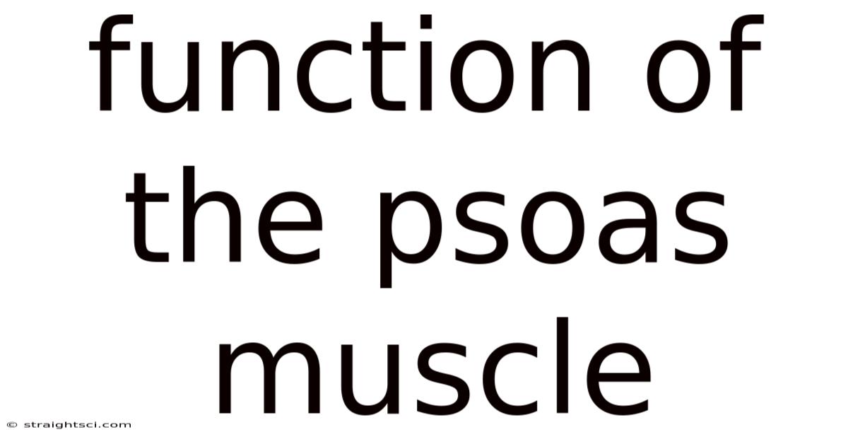 Function Of The Psoas Muscle