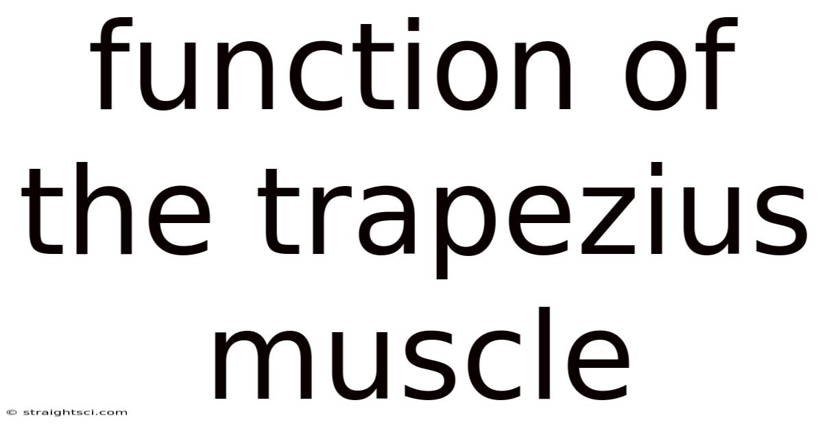 Function Of The Trapezius Muscle