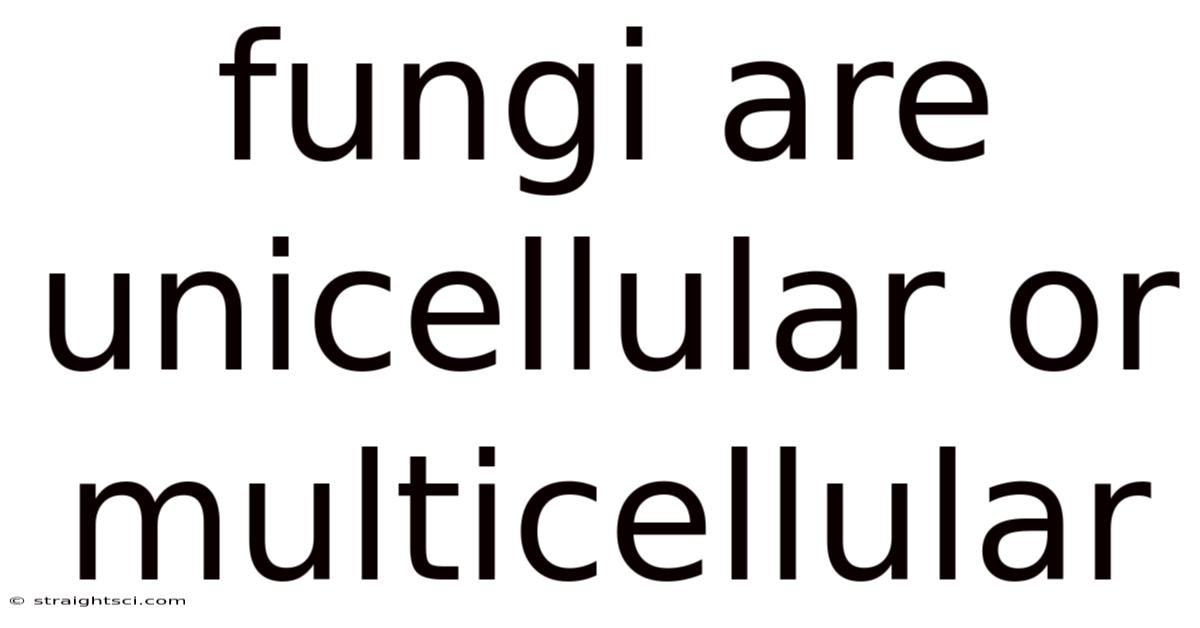 Fungi Are Unicellular Or Multicellular