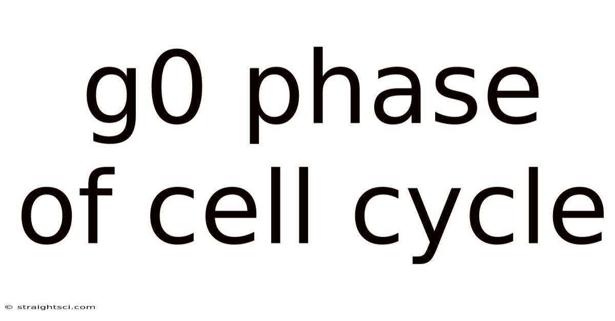 G0 Phase Of Cell Cycle