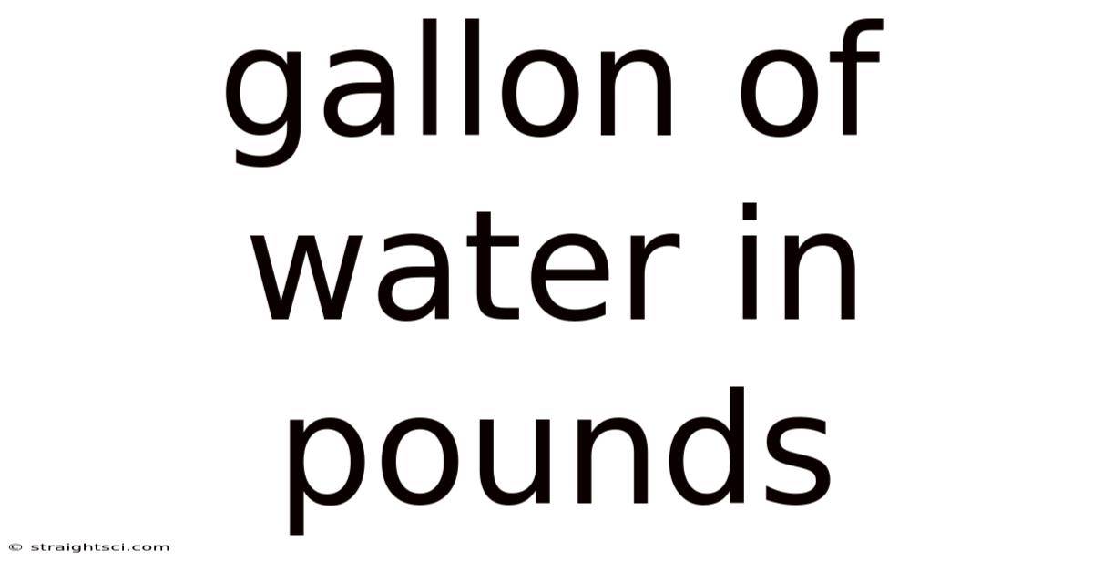 Gallon Of Water In Pounds