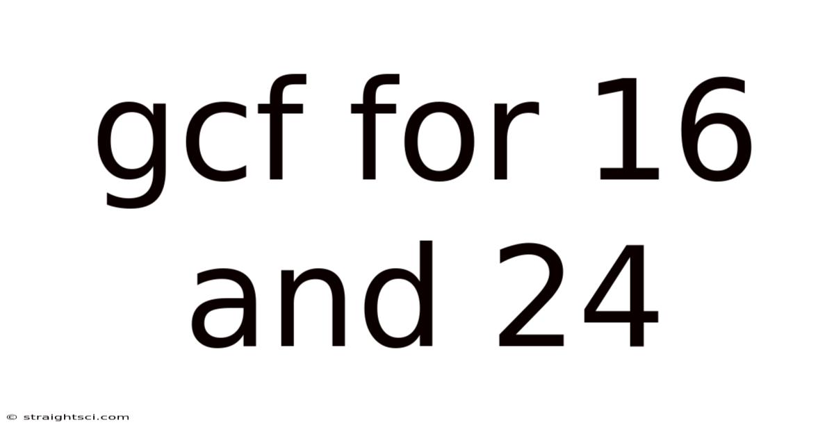 Gcf For 16 And 24