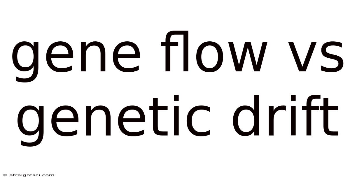 Gene Flow Vs Genetic Drift