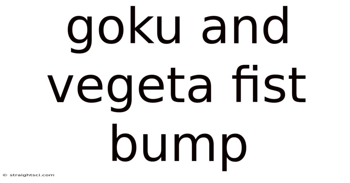 Goku And Vegeta Fist Bump