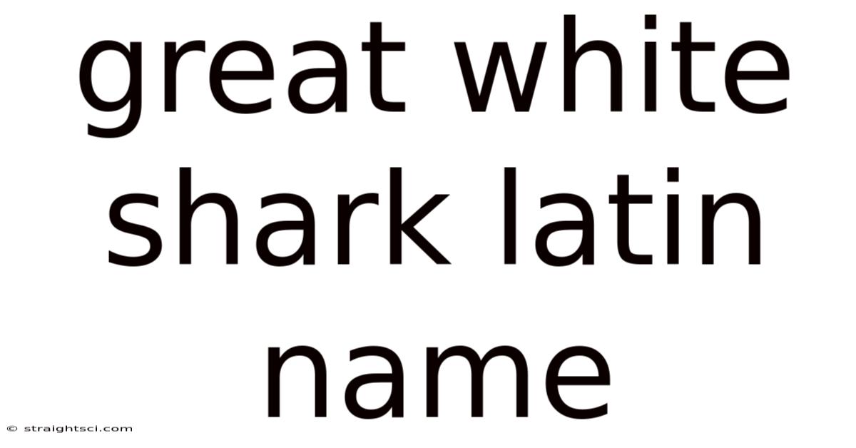 Great White Shark Latin Name