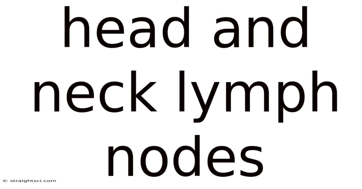 Head And Neck Lymph Nodes