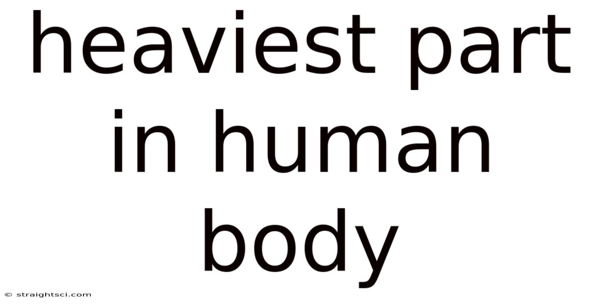 Heaviest Part In Human Body