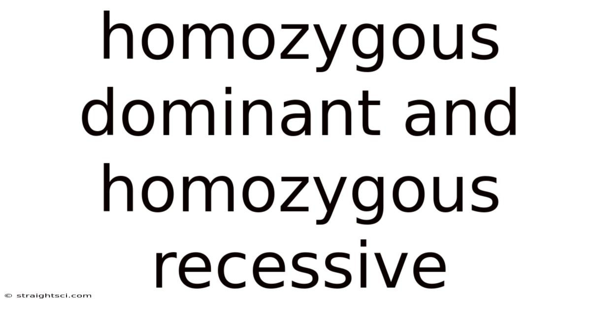 Homozygous Dominant And Homozygous Recessive