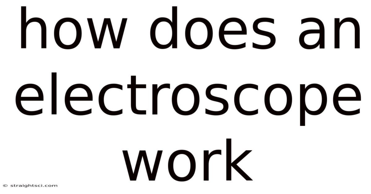 How Does An Electroscope Work