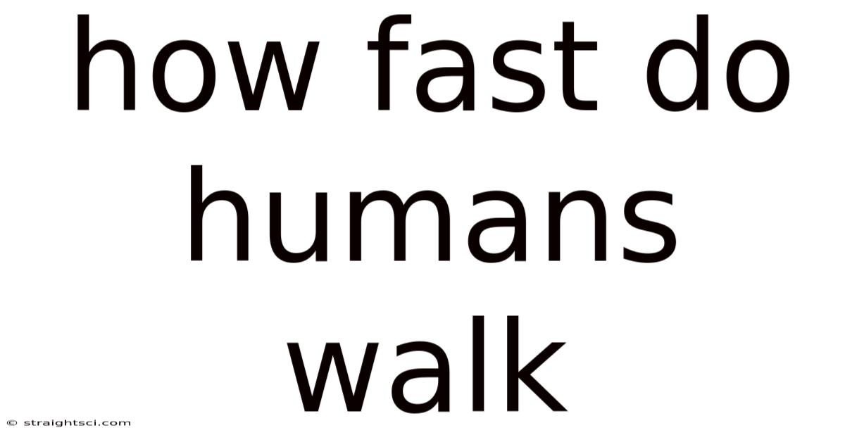 How Fast Do Humans Walk