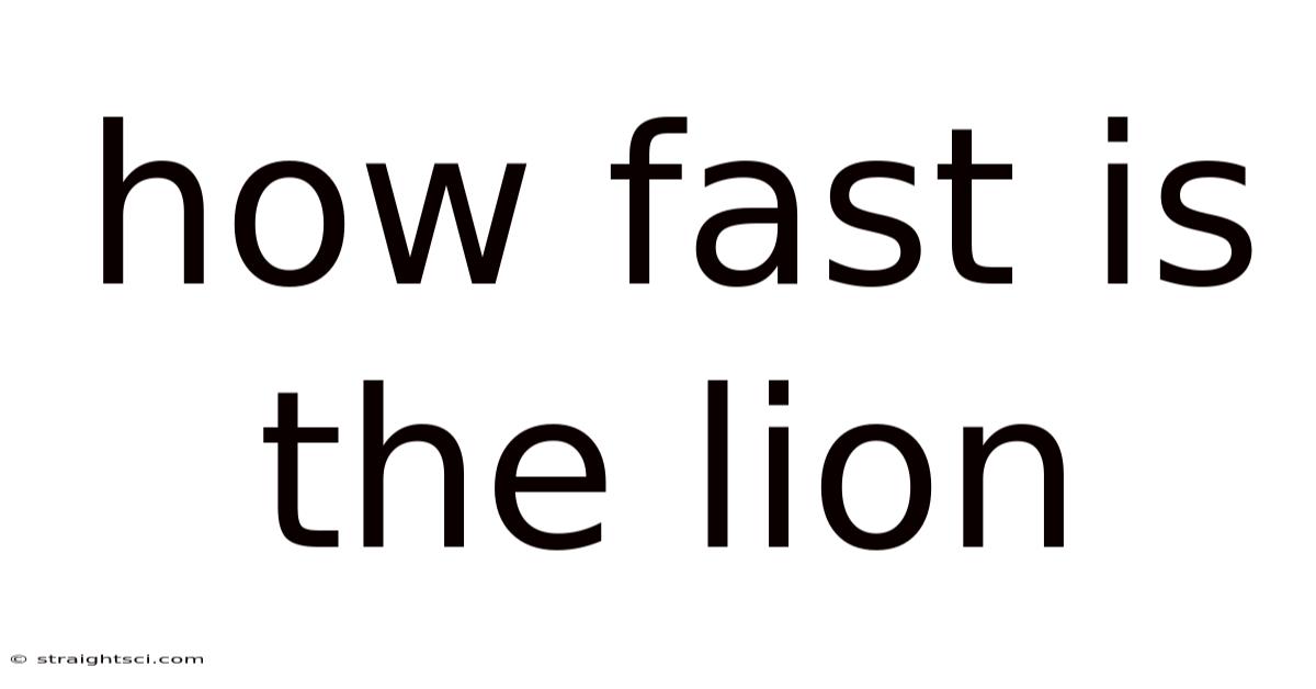 How Fast Is The Lion