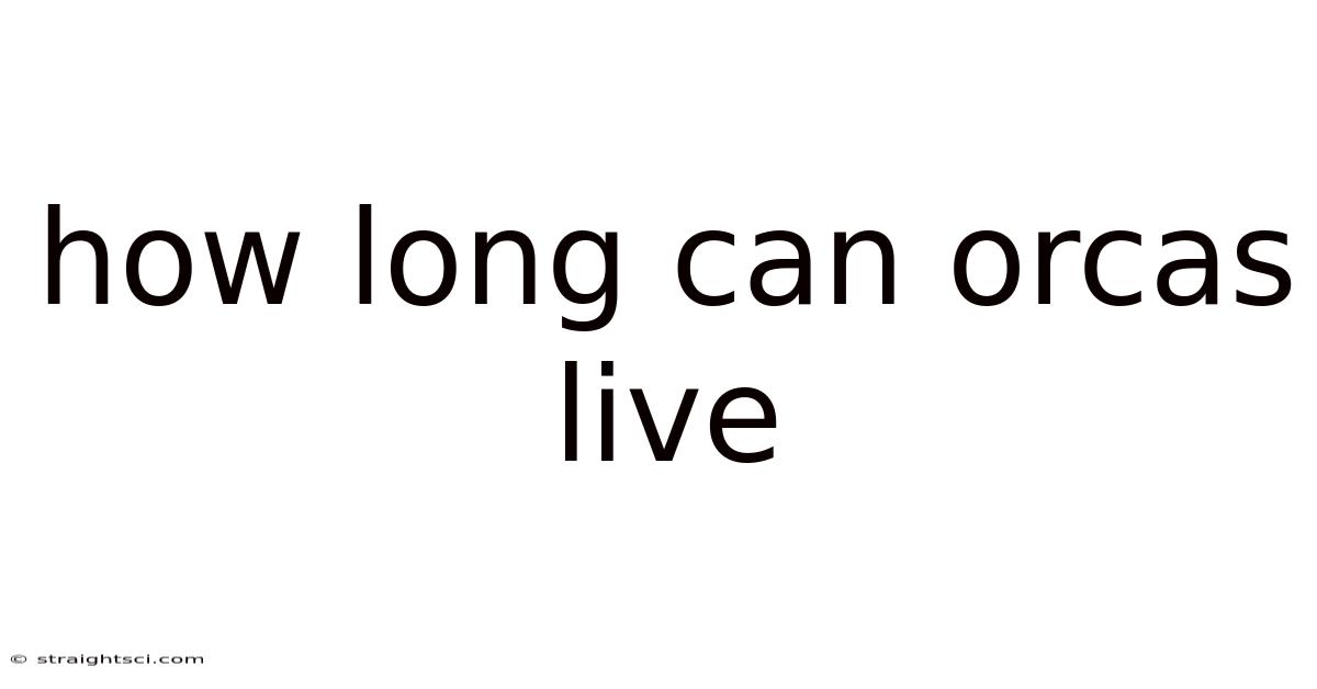 How Long Can Orcas Live