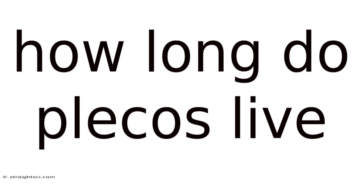 How Long Do Plecos Live