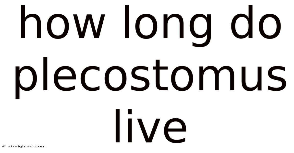 How Long Do Plecostomus Live