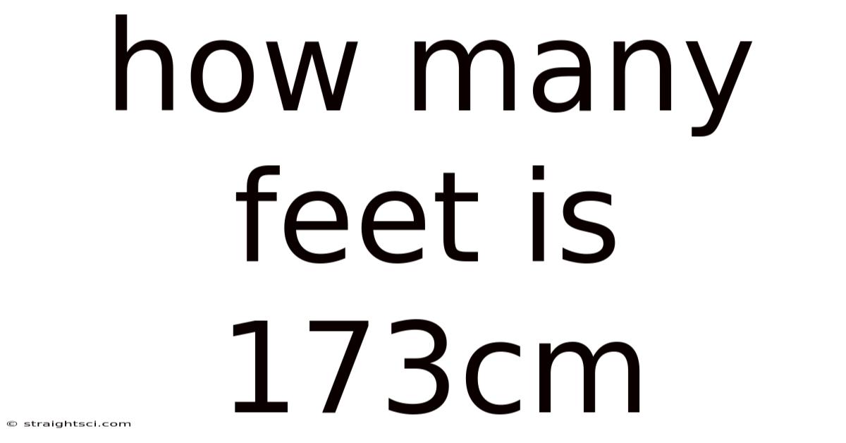 How Many Feet Is 173cm