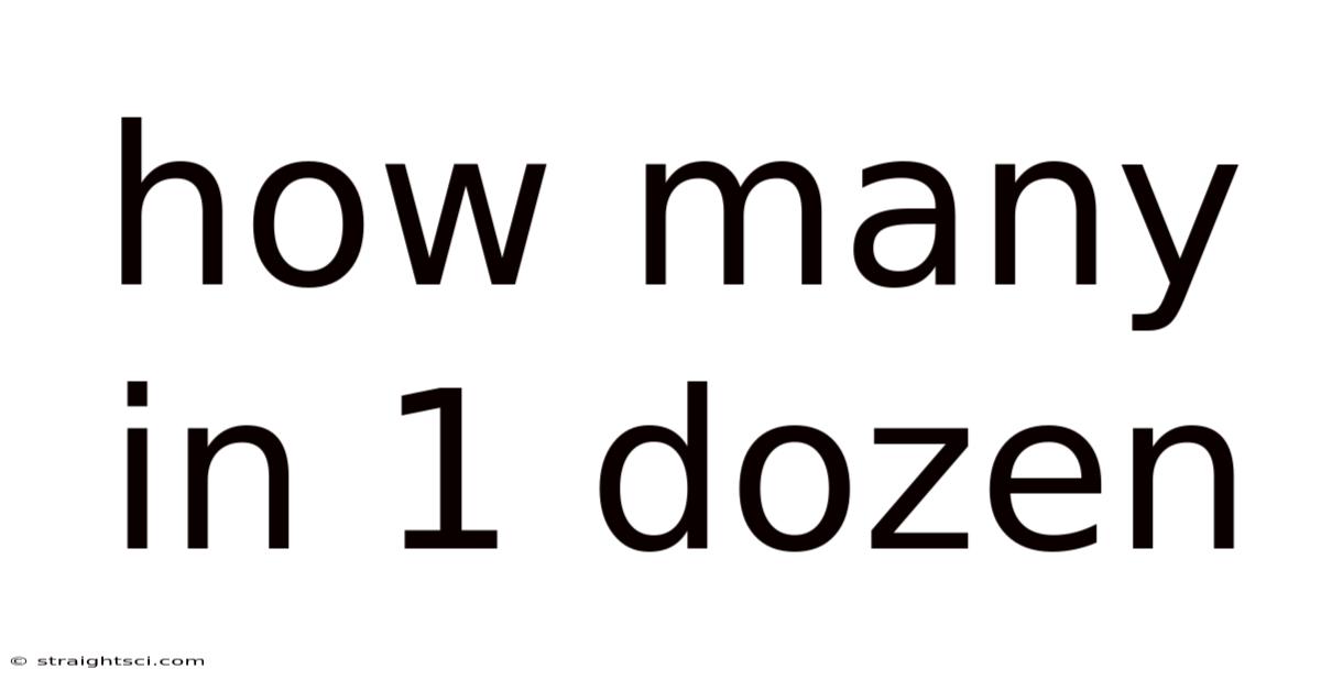 How Many In 1 Dozen