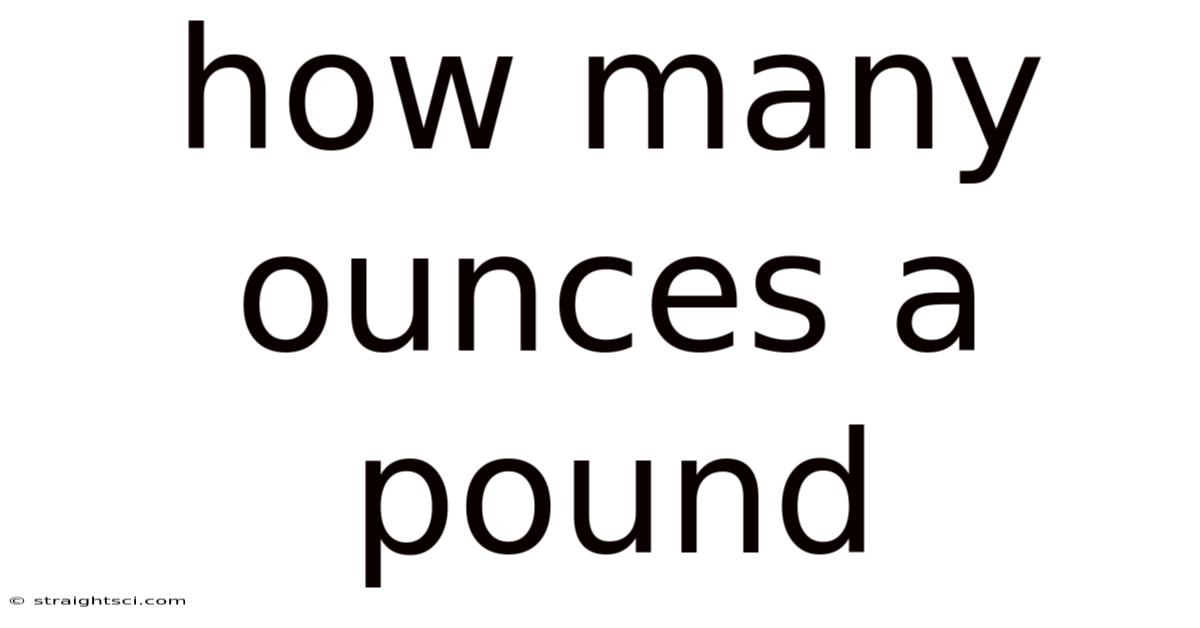 How Many Ounces A Pound