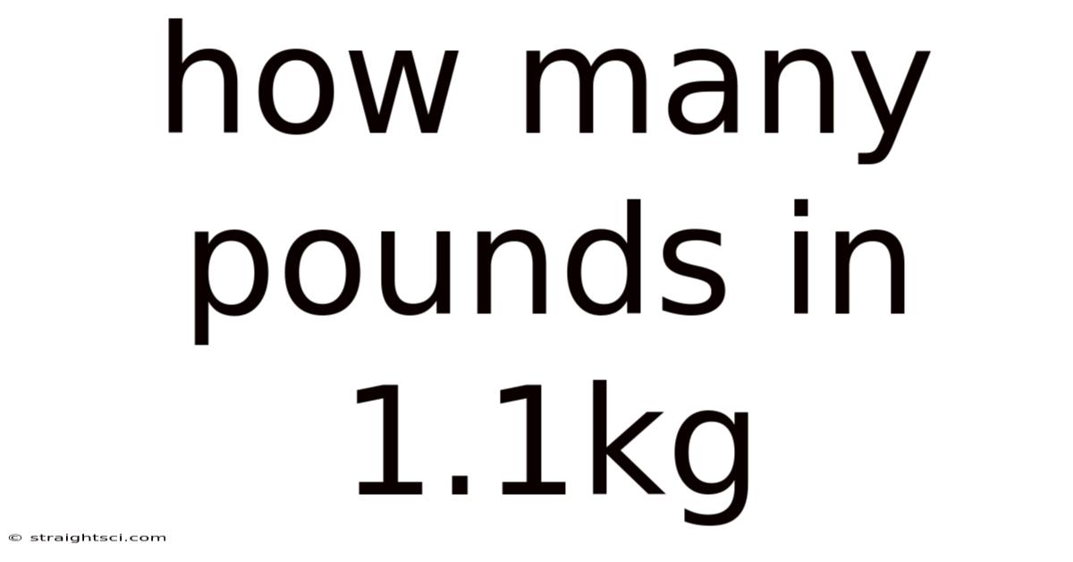 How Many Pounds In 1.1kg