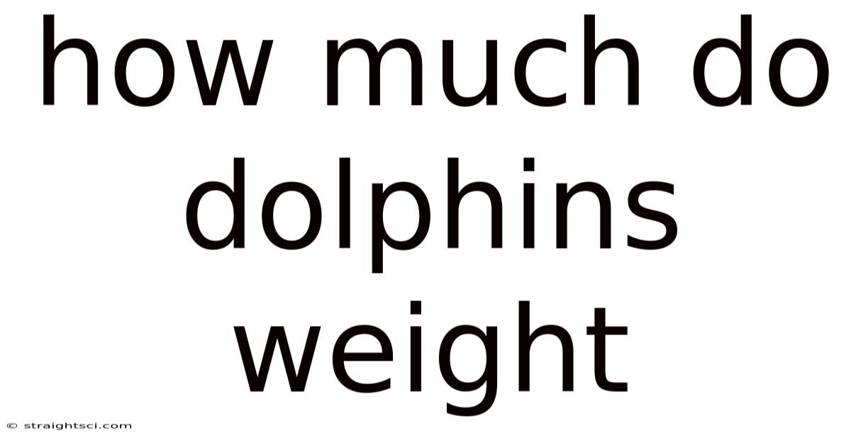 How Much Do Dolphins Weight