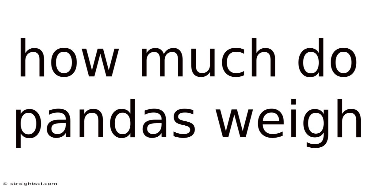 How Much Do Pandas Weigh