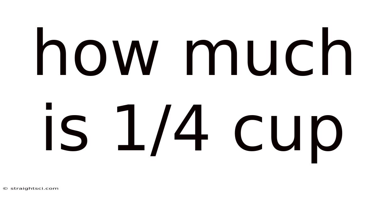 How Much Is 1/4 Cup
