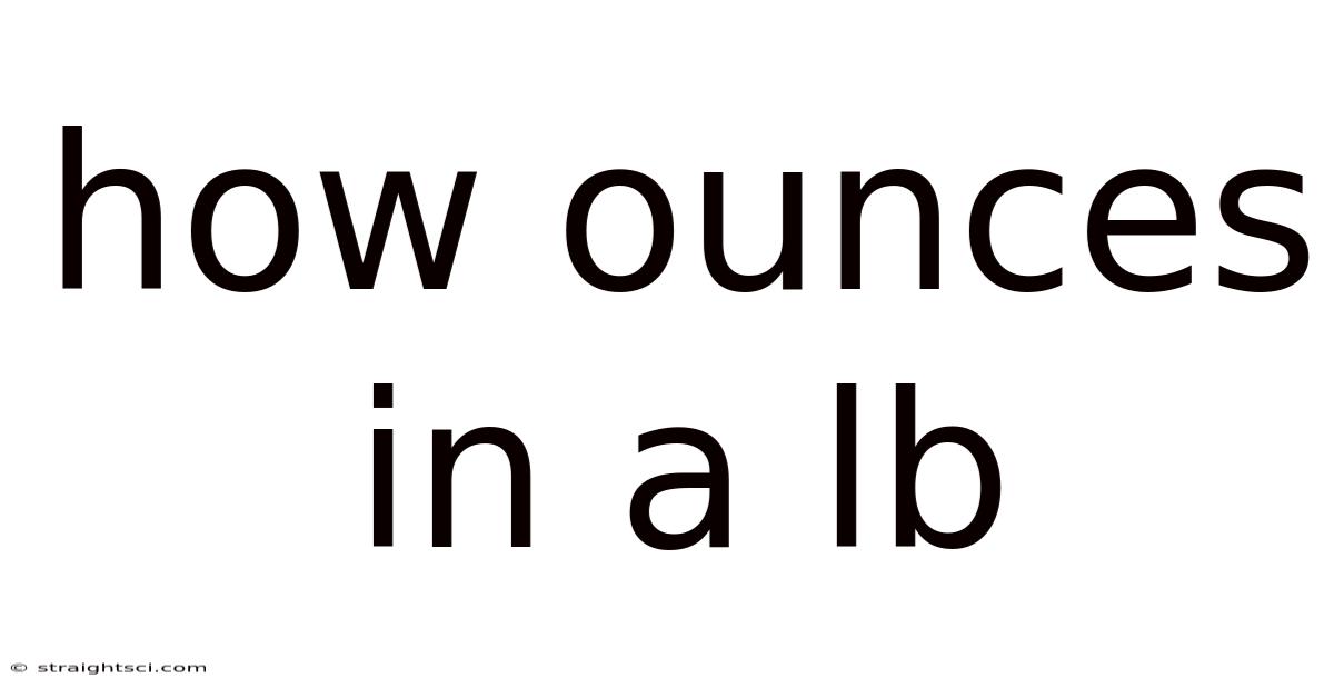 How Ounces In A Lb