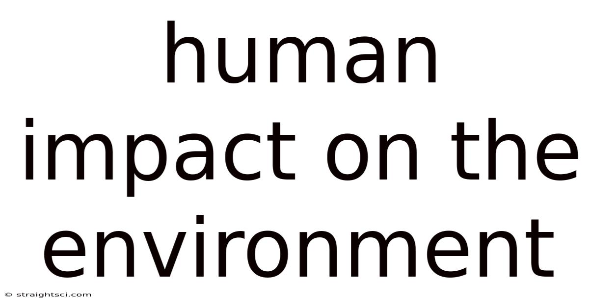 Human Impact On The Environment