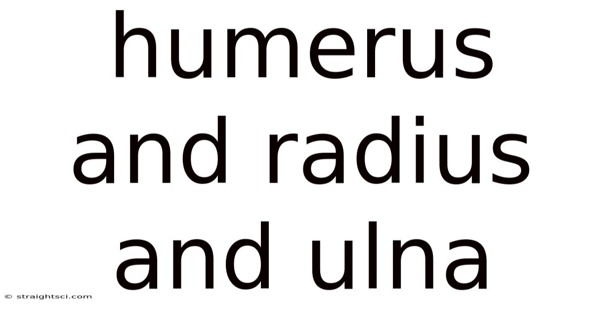 Humerus And Radius And Ulna